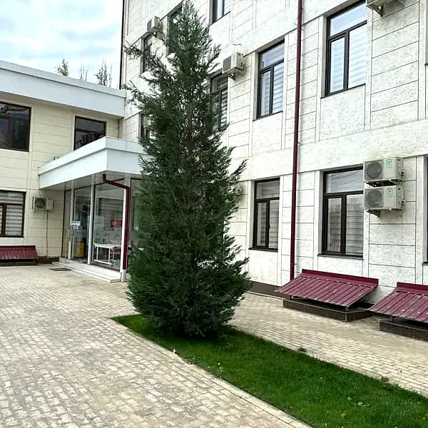 Klinika hovlisi